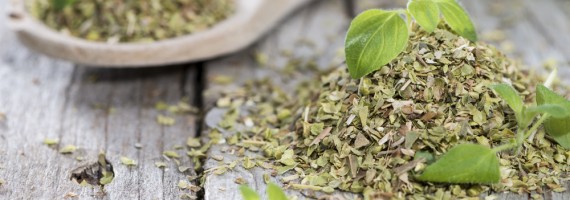 Wooden Spoon with shredded Oregano