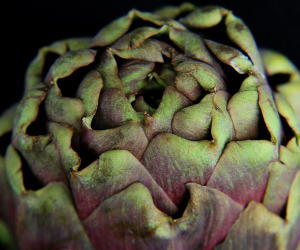 artichoke