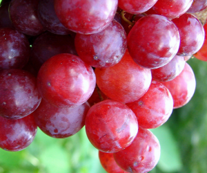 grape