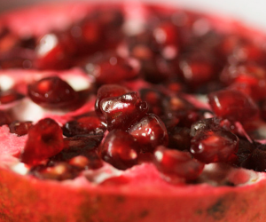 pomegranate pomegranate